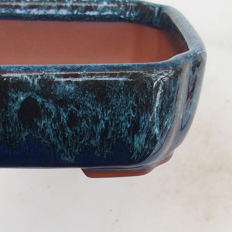 Bonsaischale 15 x 13 x 5 cm, Farbe blau-weiß