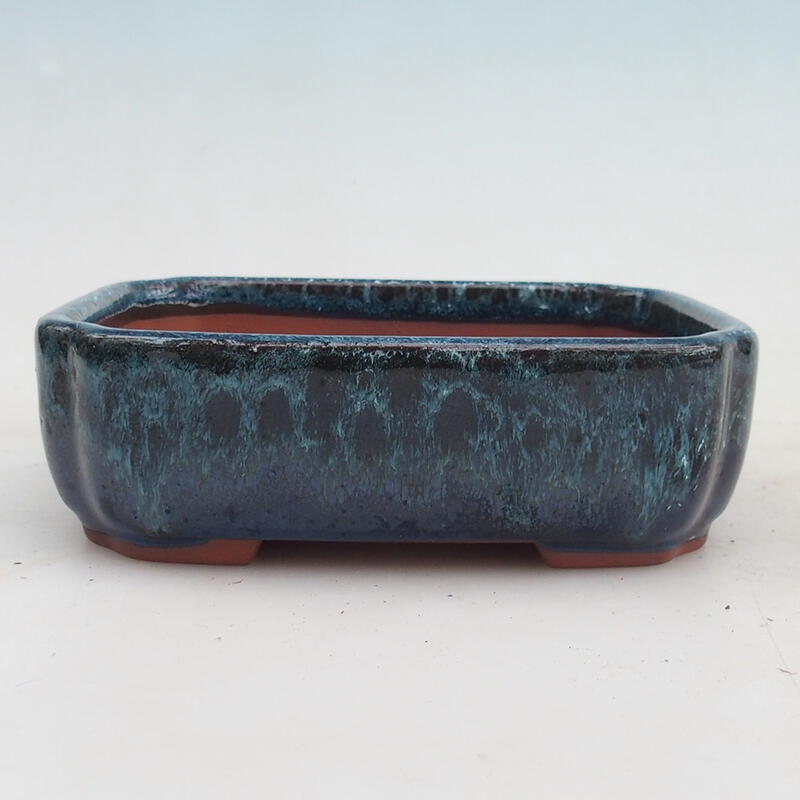 Bonsaischale 15 x 13 x 5 cm, Farbe blau-weiß