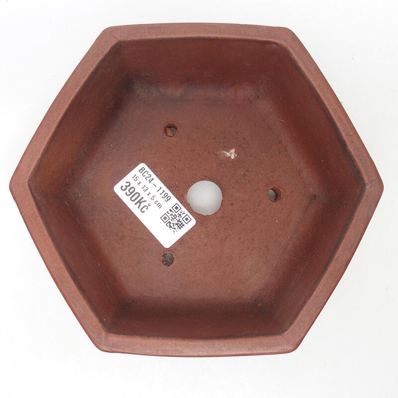 Bonsaischale 15 x 14 x 5,5 cm, Farbe braun