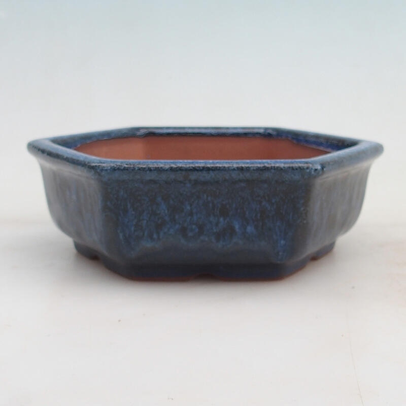 Bonsaischale 16 x 14 x 5 cm, Farbe blau
