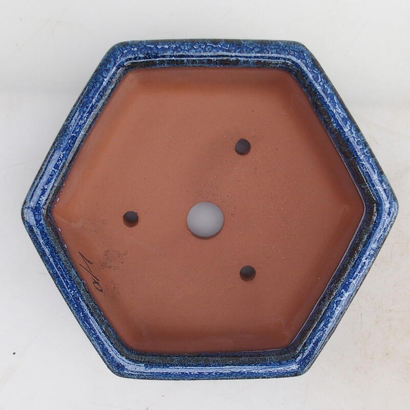 Bonsaischale 16 x 14 x 5 cm, Farbe blau