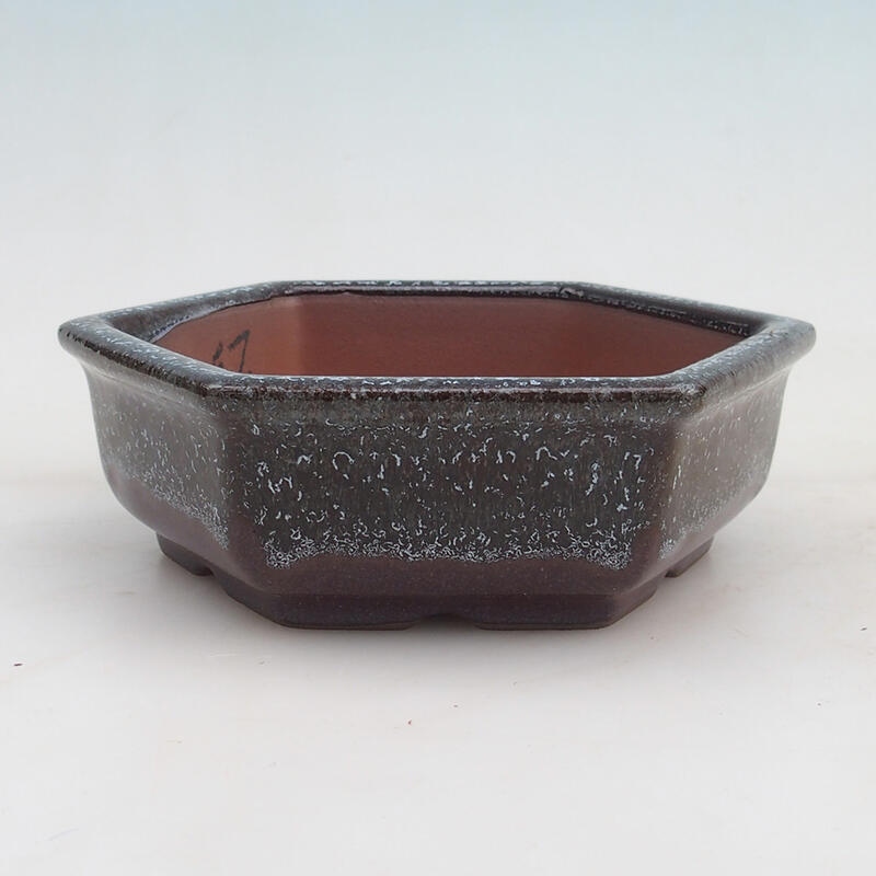Bonsaischale 16 x 14 x 5 cm, Weinfarbe
