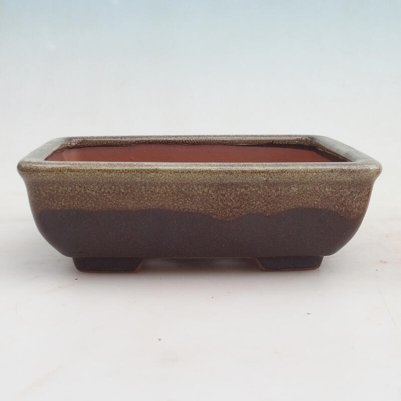 Bonsaischale 17,5 x 13 x 5,5 cm, Weinfarbe