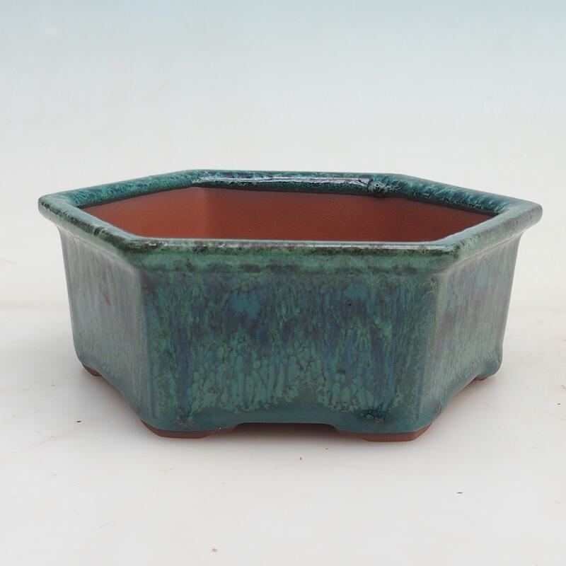 Bonsaischale 17 x 15 x 6 cm, Farbe grün
