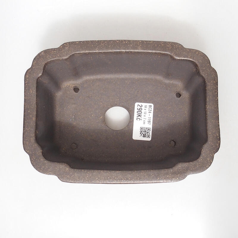 Bonsaischale 18 x 13,5 x 7 cm, Farbe brauner Ocker