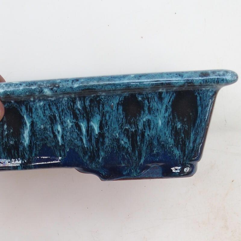 Bonsaischale 21,5 x 16 x 5 cm, Farbe blau-weiß