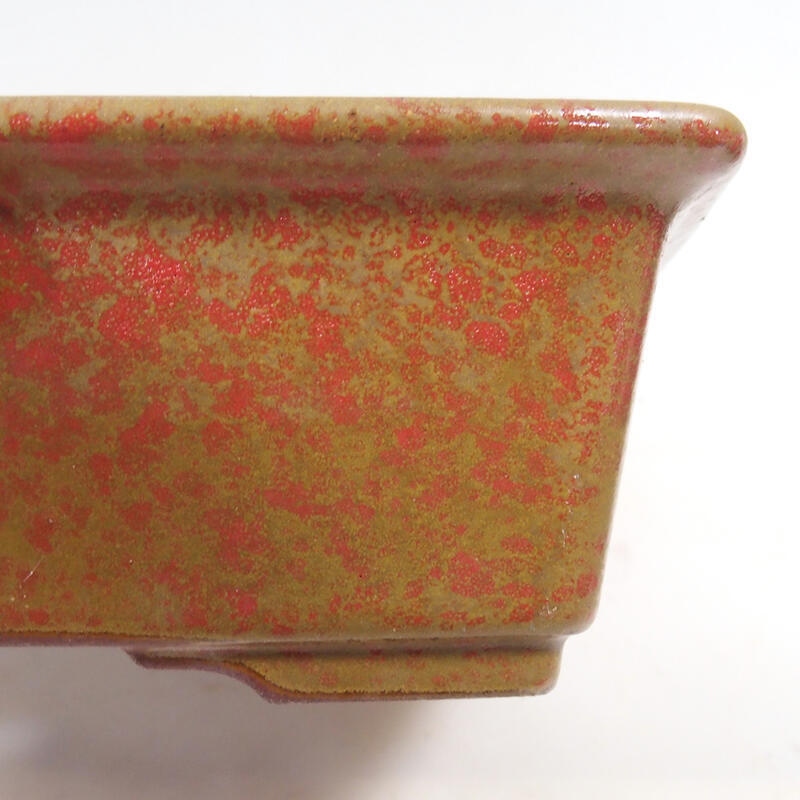 Bonsaischale 21 x 17 x 6,5 cm, Farbe Ocker