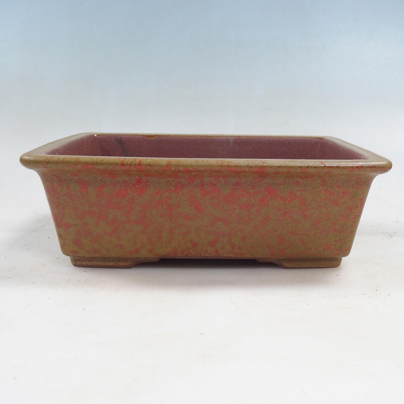 Bonsaischale 21 x 17 x 6,5 cm, Farbe Ocker