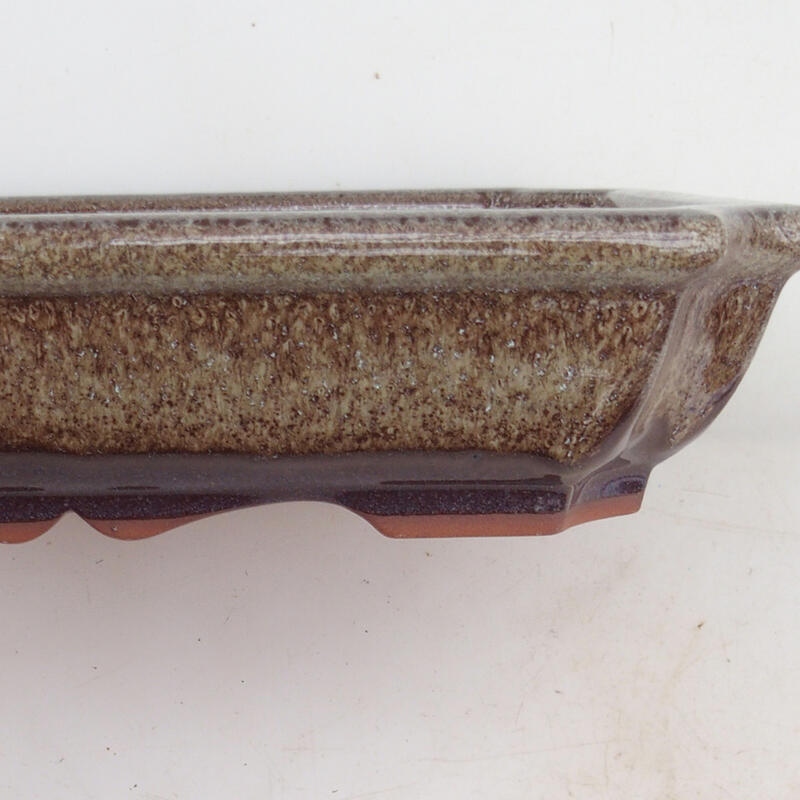 Bonsaischale 22 x 16,5 x 4 cm, Farbe braun