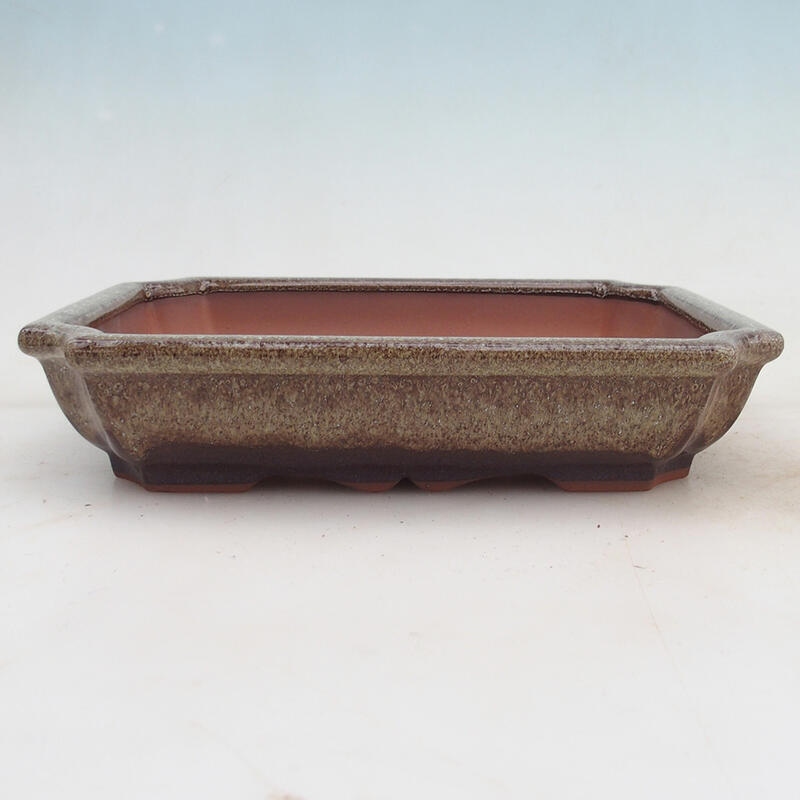 Bonsaischale 22 x 16,5 x 4 cm, Farbe braun
