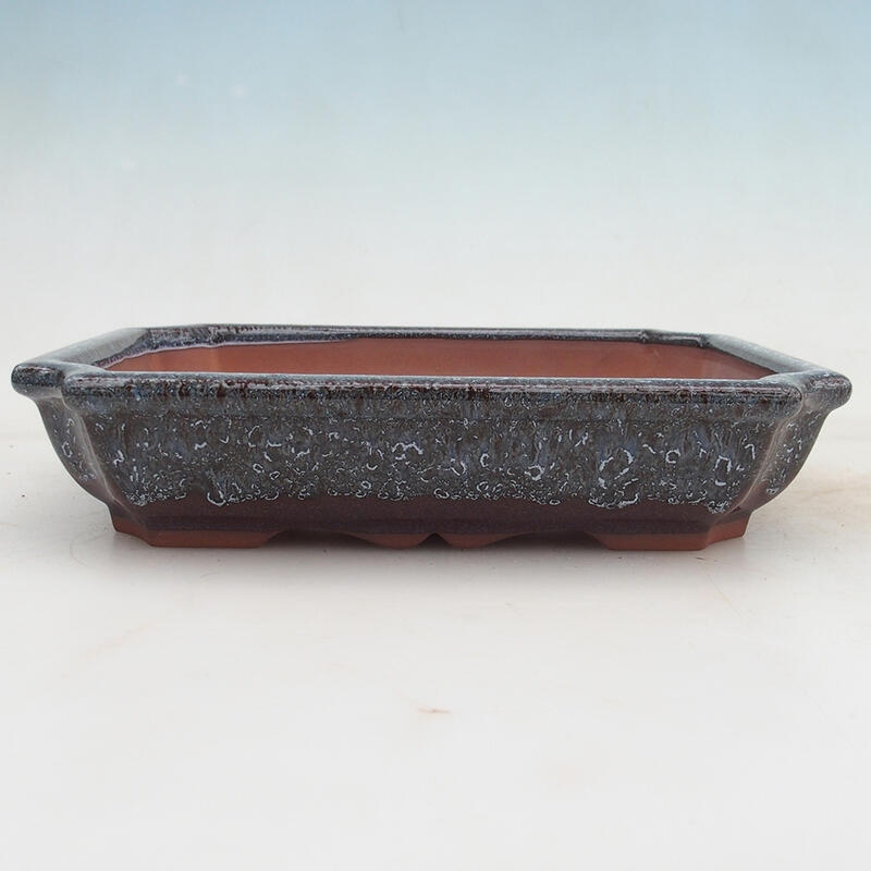 Bonsaischale 22 x 16,5 x 4 cm, Weinfarbe