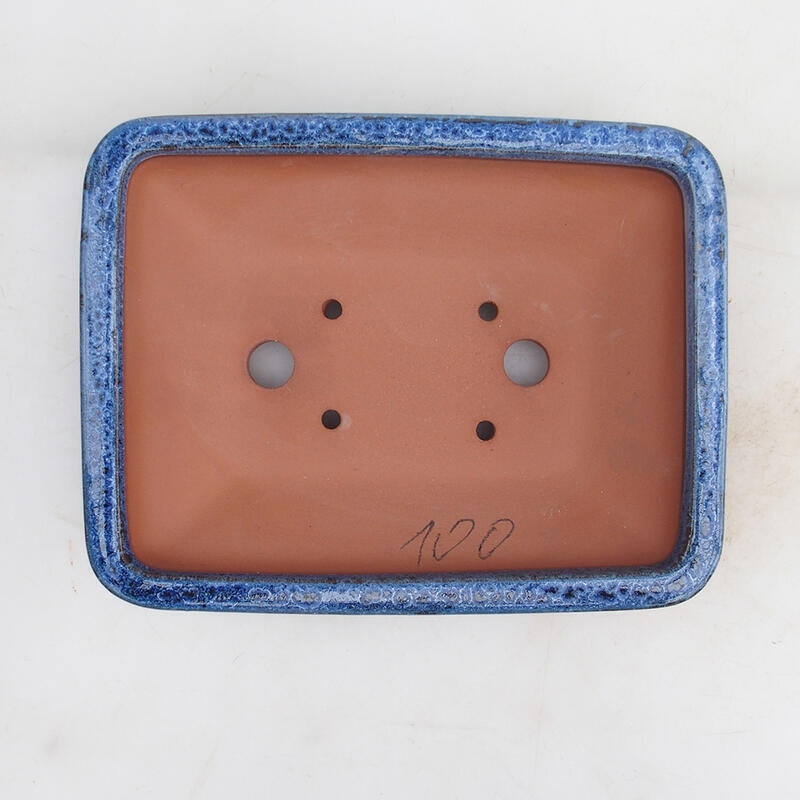 Bonsaischale 22 x 17 x 5,5 cm, Farbe blau