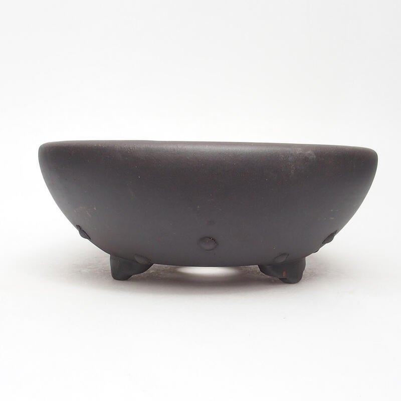 Bonsaischale 22 x 22 x 8 cm, Farbe schwarz