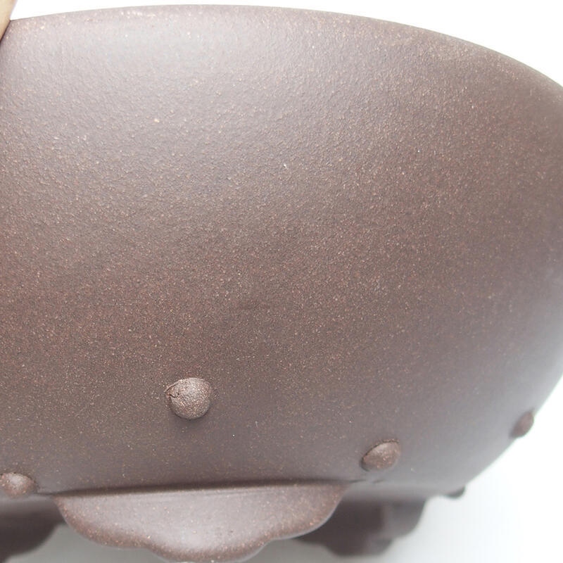 Bonsaischale 22 x 22 x 8 cm, Farbe braun