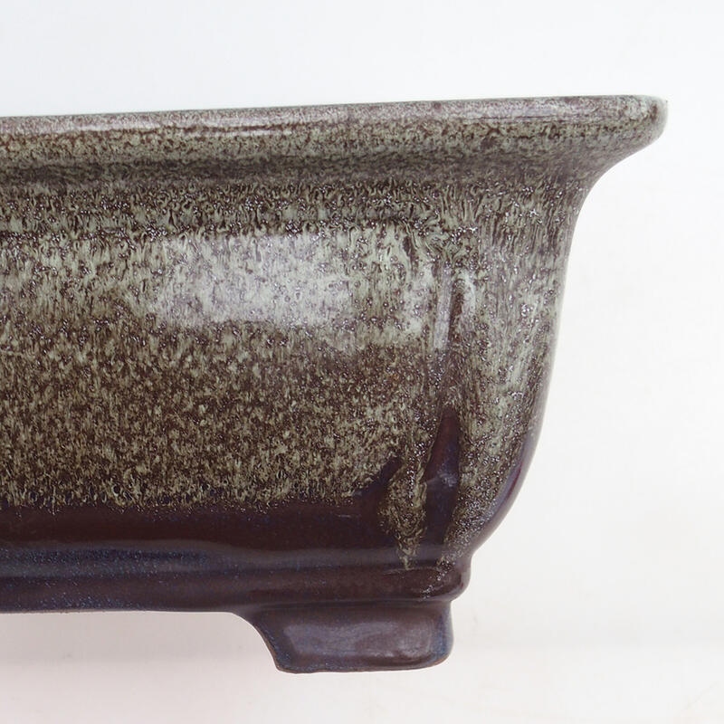 Bonsaischale 23 x 23 x 10,5 cm, Farbe Burgund