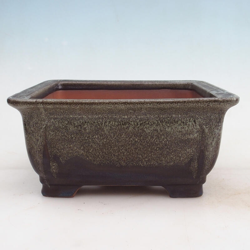 Bonsaischale 23 x 23 x 10,5 cm, Farbe Burgund