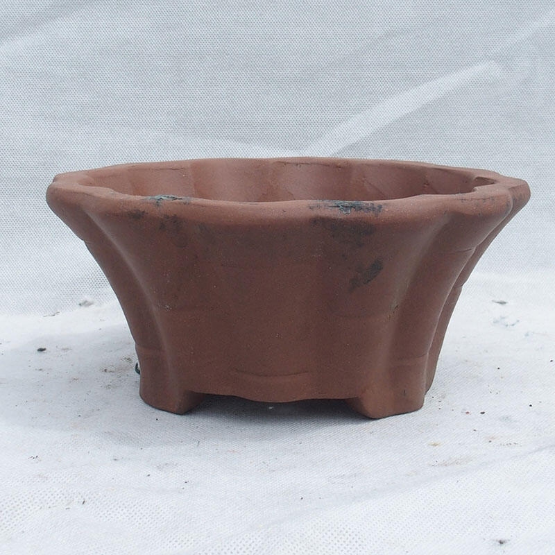 Bonsaischale 29 x 29 x 13 cm, graue Farbe