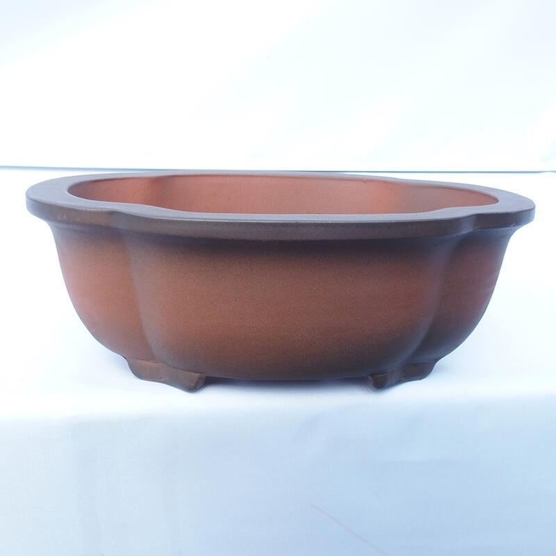 Bonsaischale 30 x 22 x 10 cm