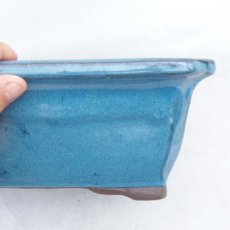Bonsaischale 30 x 23 x 10,5 cm, Farbe blau