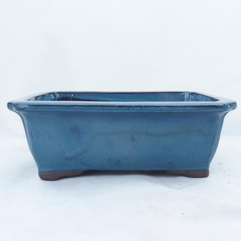 Bonsaischale 30 x 23 x 10,5 cm, Farbe blau