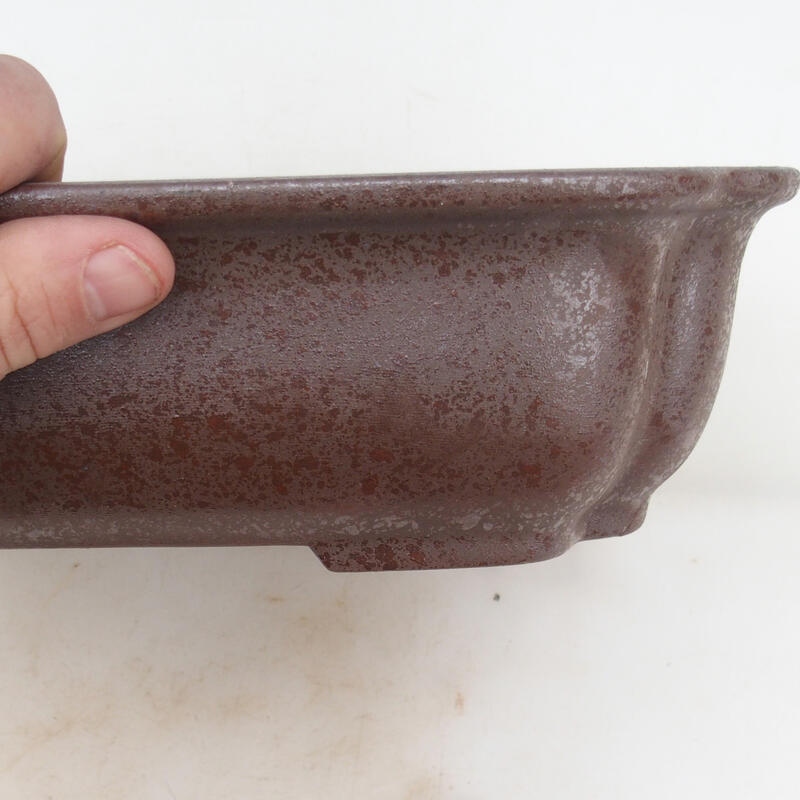 Bonsaischale 30 x 24,5 x 8 cm, naturfarben