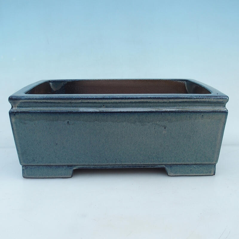 Bonsaischale 34 x 23 x 13,5 cm, Farbe blau-beige
