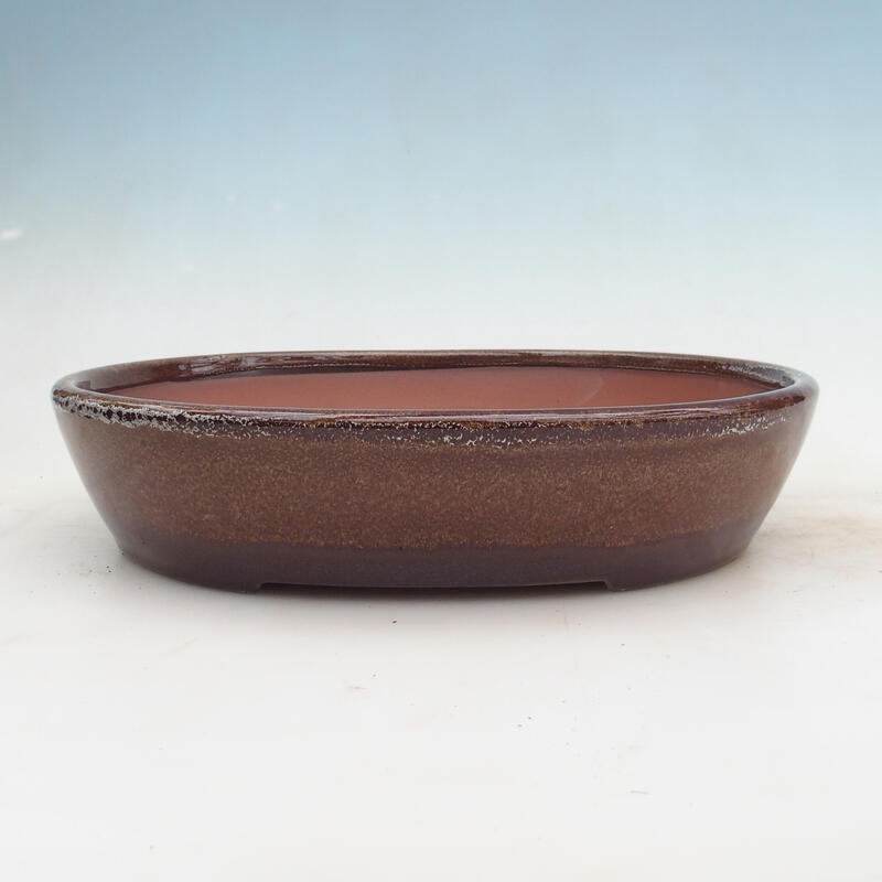 Bonsaischale 34 x 27 x 7,5 cm, Farbe braun