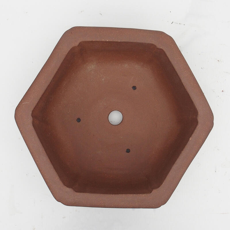Bonsaischale 34 x 31 x 12 cm - Japanische Qualität