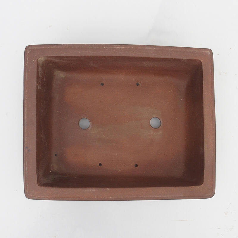 Bonsaischale 36 x 29 x 10 cm - Japanische Qualität