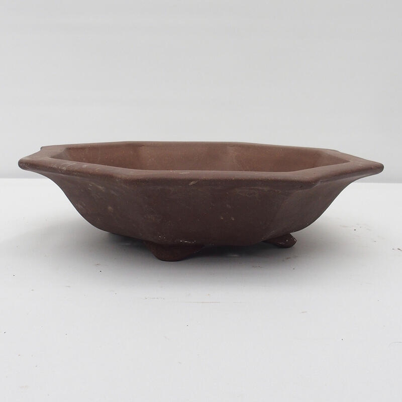 Bonsaischale 36 x 32 x 8 cm - Japanische Qualität