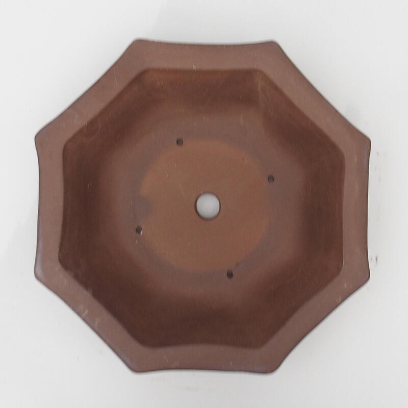Bonsaischale 36 x 32 x 8 cm - Japanische Qualität