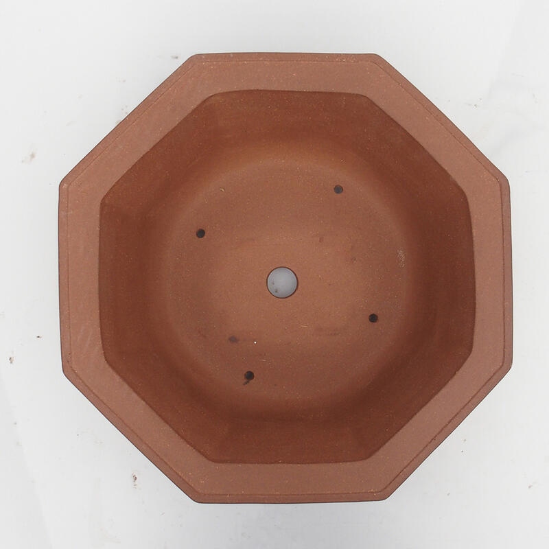 Bonsaischale 36 x 34 x 12 cm - Japanische Qualität
