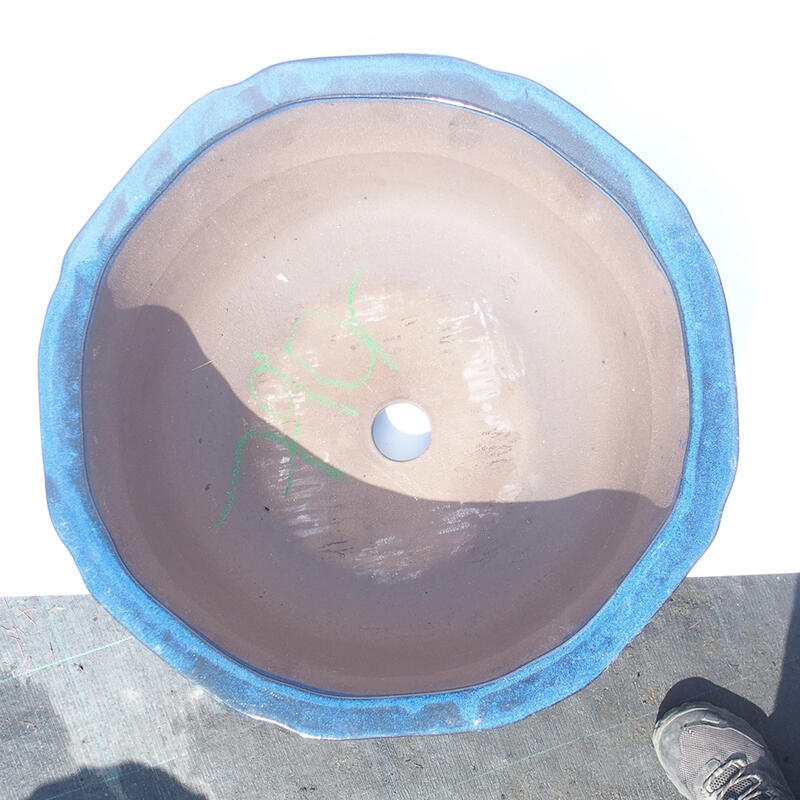 Bonsaischale 36 x 36 x 13 cm Farbe blau