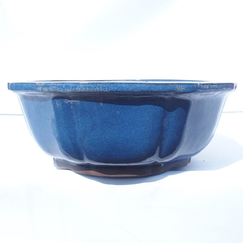 Bonsaischale 36 x 36 x 13 cm Farbe blau