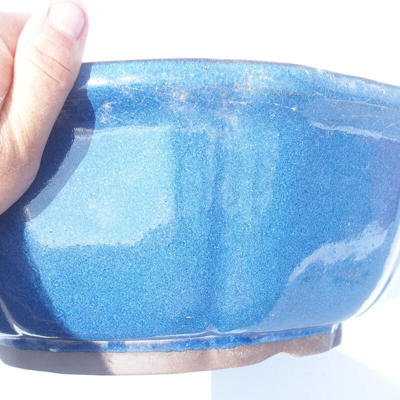 Bonsaischale 36 x 36 x 13 cm Farbe blau