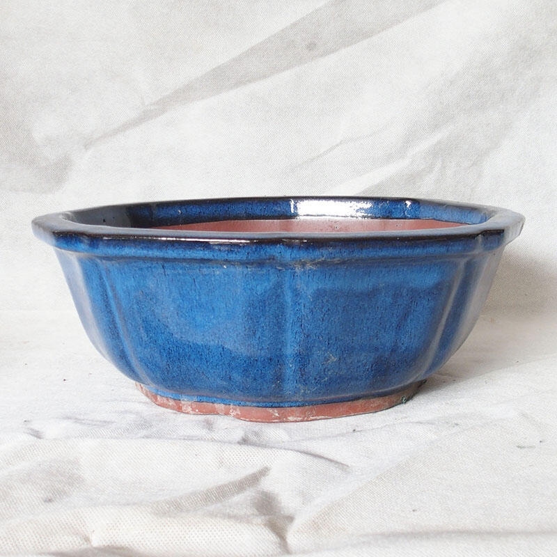 Bonsaischale 36 x 36 x 13 cm, Farbe blau
