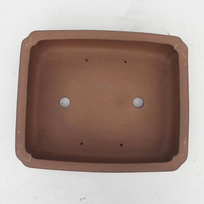 Bonsaischale 39 x 33 x 11 cm - Japanische Qualität