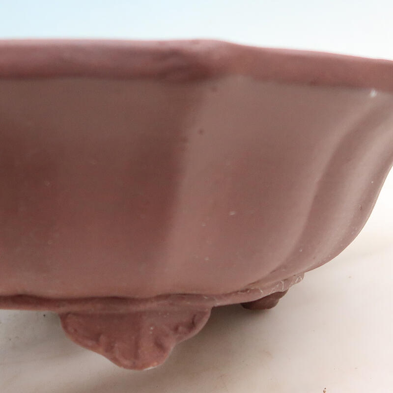 Bonsaischale 39 x 39 x 12 cm, Farbe braun