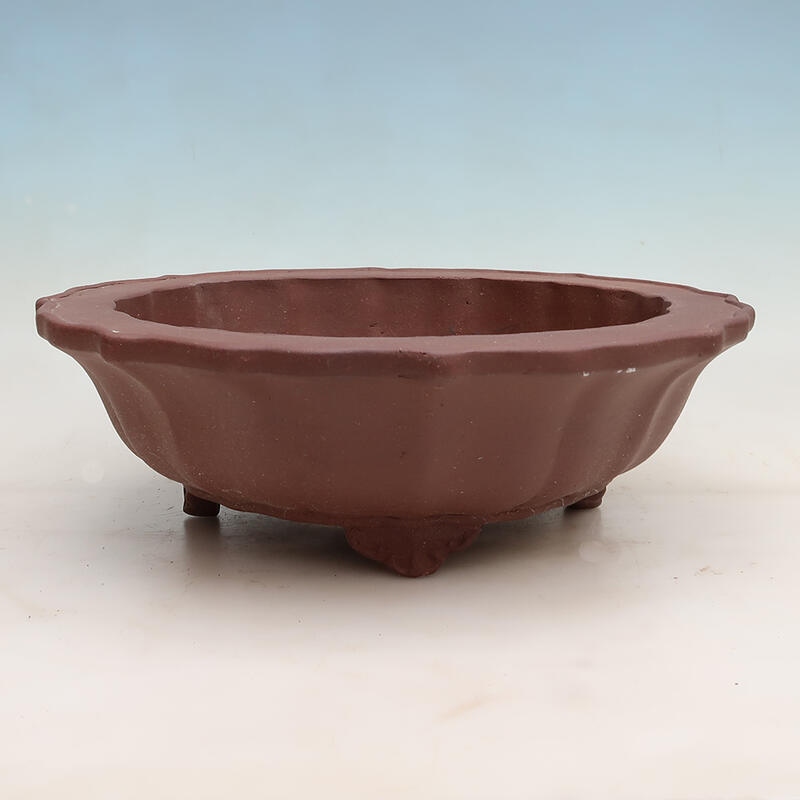 Bonsaischale 39 x 39 x 12 cm, Farbe braun