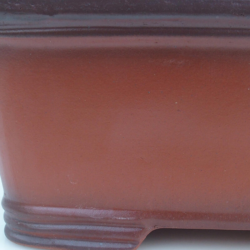 Bonsaischale 40 x 30 x 15 cm, Ziegelfarbe – nur Palettentransport