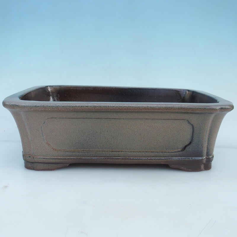 Bonsaischale 41 x 28 x 12,5 cm, Farbe braun - Nur Palettentransport