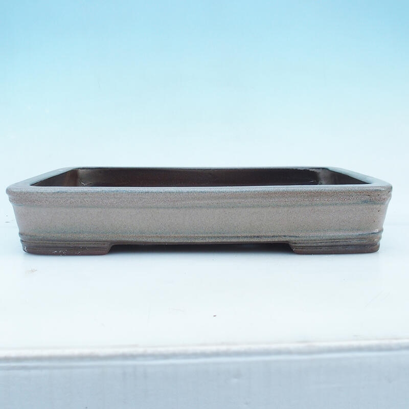 Bonsaischale 41 x 28 x 7 cm, Farbe Beige