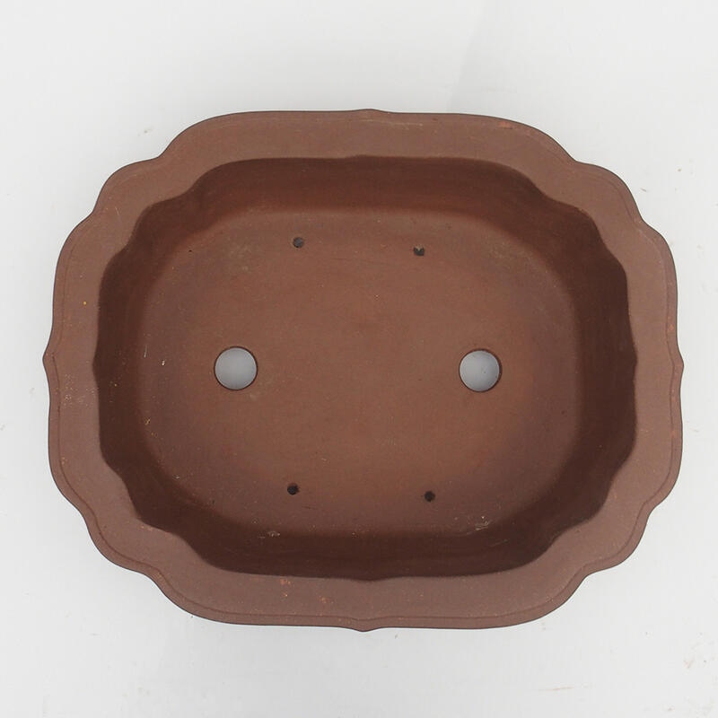 Bonsaischale 41 x 33 x 11 cm - Japanische Qualität