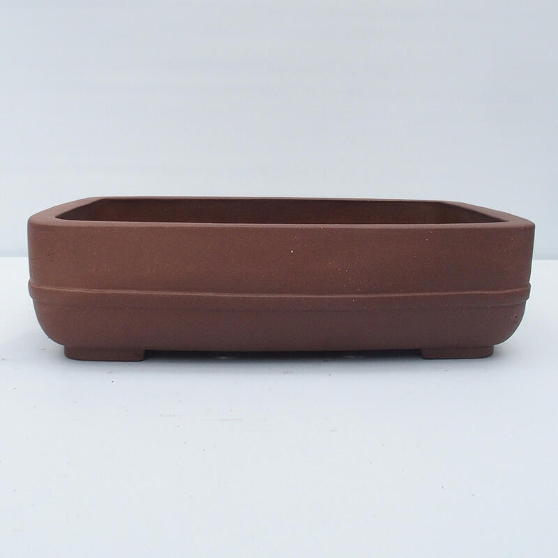 Bonsaischale 42 x 28 x 11,5 cm - Japanische Qualität