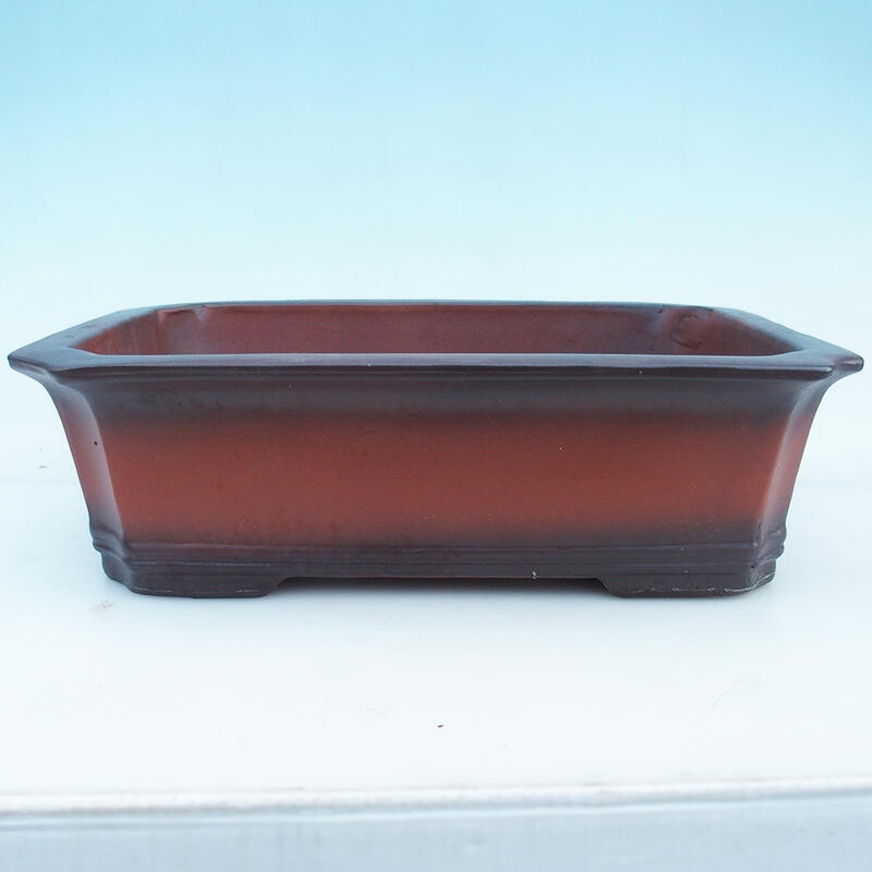 Bonsaischale 42 x 29 x 12,5 cm, Ziegelfarbe – nur Palettentransport