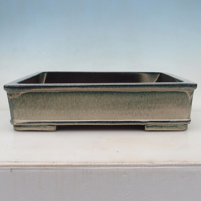 Bonsaischale 42 x 33 x 11 cm, Farbe blau-beige - Nur Palettentransport