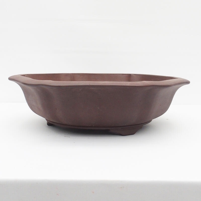 Bonsaischale 50 x 47 x 14 cm - Japanische Qualität