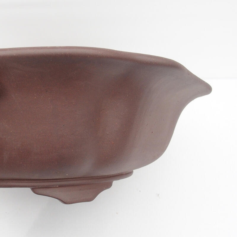 Bonsaischale 50 x 47 x 14 cm - Japanische Qualität