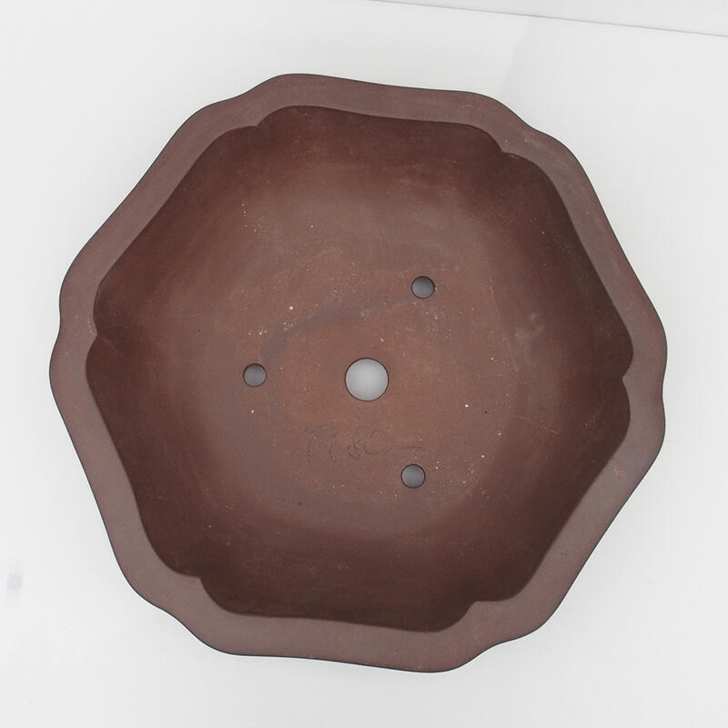 Bonsaischale 50 x 47 x 14 cm - Japanische Qualität