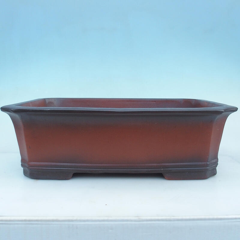 Bonsaischale 51,5 x 37,5 x 16 cm, Ziegelfarbe – nur Palettentransport